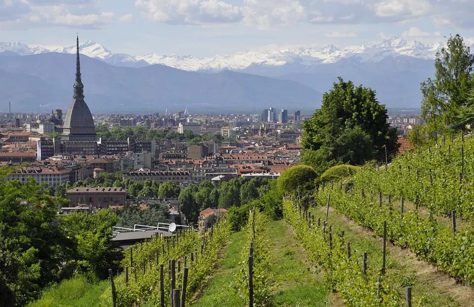 canone concordato a torino